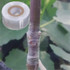 Grafting Tape Film Self-adhesive Portable Grafting Supplies Stretchable Eco-friendly