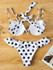Falbala Sexy Bikinis Swimwear