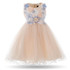 Cielarko Kids Girls Flower Dress Baby Girl Butterfly Birthday Party Dresses Children Fancy Princess Ball Gown Wedding Clothes