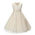 SQ253 Girls party wear clothing for children summer sleeveless lace princess wedding dress girls teenage well party prom dress