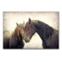 Style Horse Canvas Painting Animals