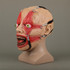 Halloween Masks Latex Party Horrible Scary Prank Cankered Skin Horror Mask Fancy Dress Cosplay Costume Mask Masquerade