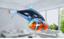 JOH Remote Control Shark Toys