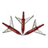 Red 6 pcs/lot Hunting Arrow Head