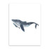 Watercolor Whales Decorative Pictures Wall Pictures for Home Decoration Poster Print Canvas Picture Wall Pictures Poster S16014