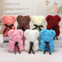 Rose Teddy Bear - 10 Inches Flower Teddy Bear (WITH BOX)