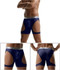 Mesh Circuit Cut-Out Boxer Brief (Multiple Colors)