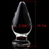 Glass Anal Plug