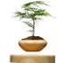 Levitating Plant Pot (Limited Time - 50% OFF)