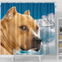 American Staffordshire Terrier Print Shower Curtains-Free Shipping
