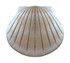 Biodegradable Shell Urn