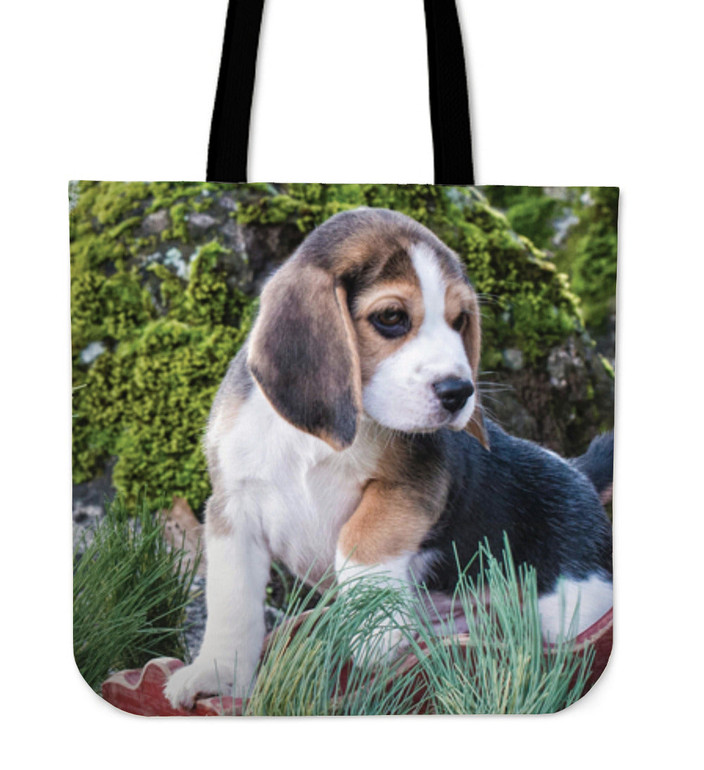 Blushing Beagle
