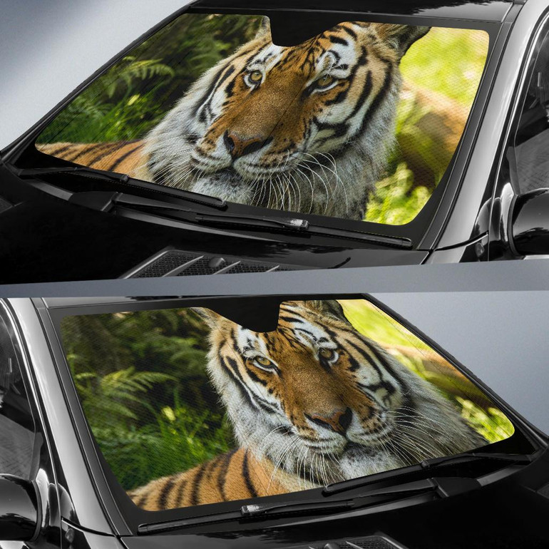 Siberian Tiger Dartmoor Zoo Auto Car Sun Shade Windshield