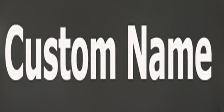2Pcs Custom Dog k9 Pet Harness Collar Label Personalize SERVICE Dog DIY Name Police k9 Pets Dog Harness Vest Label Sticker