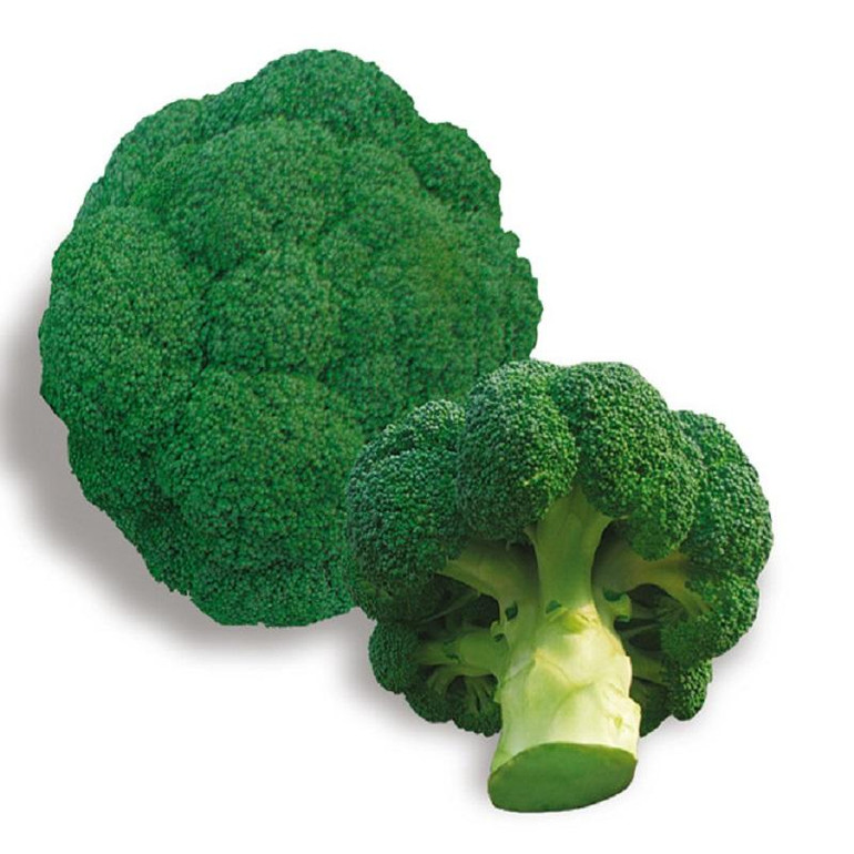 Ding green broccoli seeds vegetable 10seed