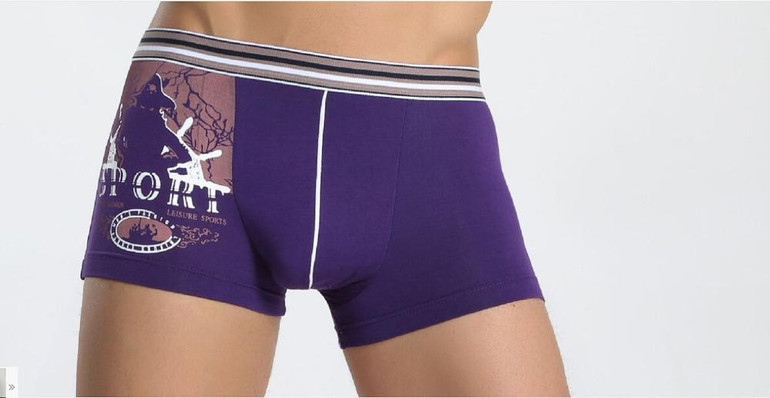 Free Shipping Modal the man pants Printing modal boxers earth SIZE L XL XXL XXXL #7200R0