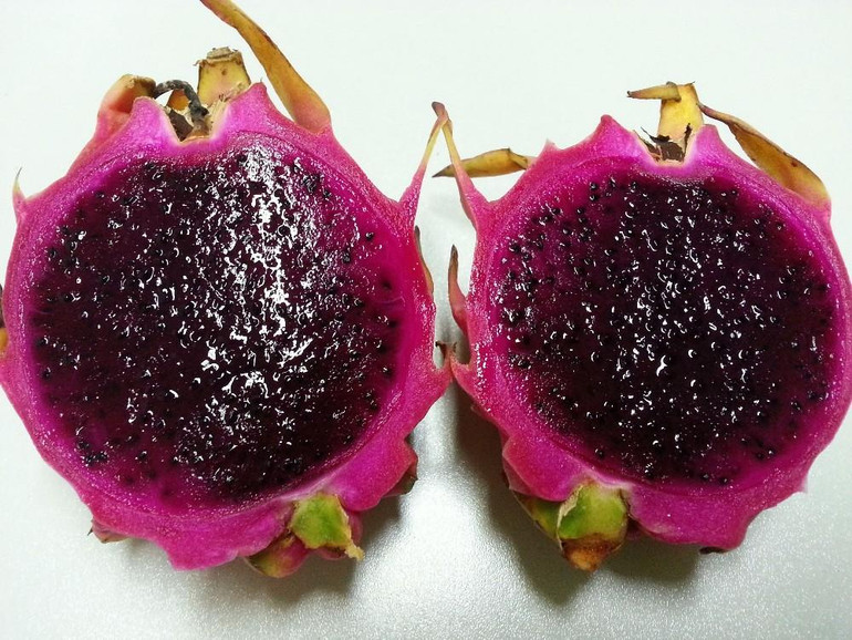 free ship 10seeds the rare red pitaya seeds, very delicious fruit seeds dragon fruit seeds