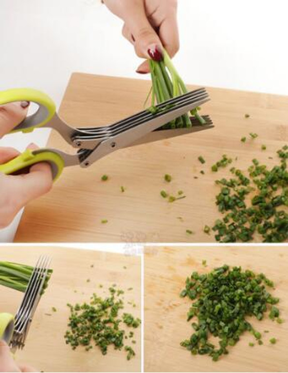 VILEAD 19cm Minced 5 Layers Basil Rosemary Kitchen Scissor Shredded Chopped Scallion Cutter Herb Laver Spices Cook Tool VILEAD 19cm Minced 5 Layers Basil Rosemary Kitchen Scissor Shredded Chopped Scallion Cutter Herb Laver Spices Cook Tool