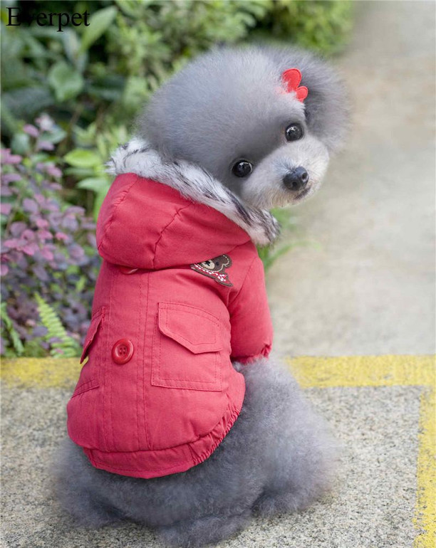 Newest super warm winter dog clothes solid blue red pet dog coat jacket for dogs clothing for puppy dog chihuahua yorkshire
