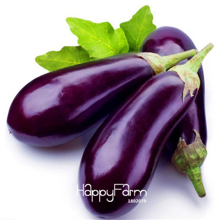 Hot Sale!10Pieces/Bag * delicious Purple Eggplant Seeds Vegetable seeds, bonsai plants for home garden, #7NL7PL