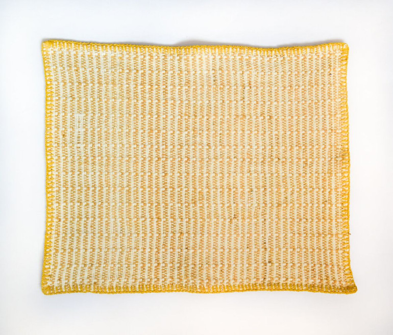 Embroidered Pitaya Yellow Placemat  (Set of 4)
