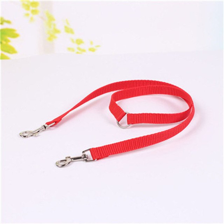 Double Dog Leash