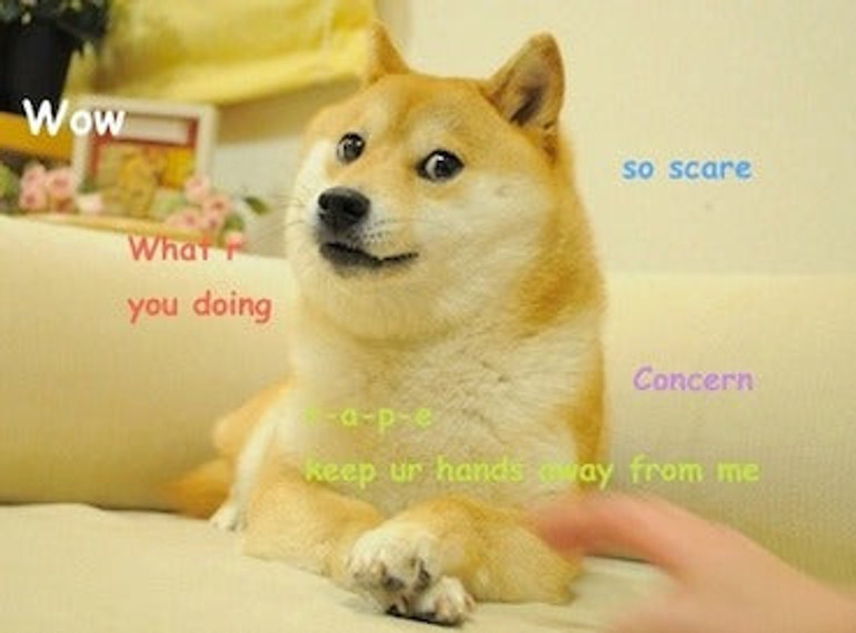 Free Doge Coins