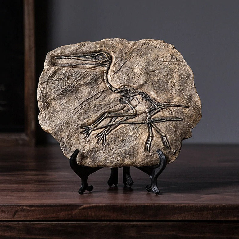 Dinosaur Fossil Sculpture
