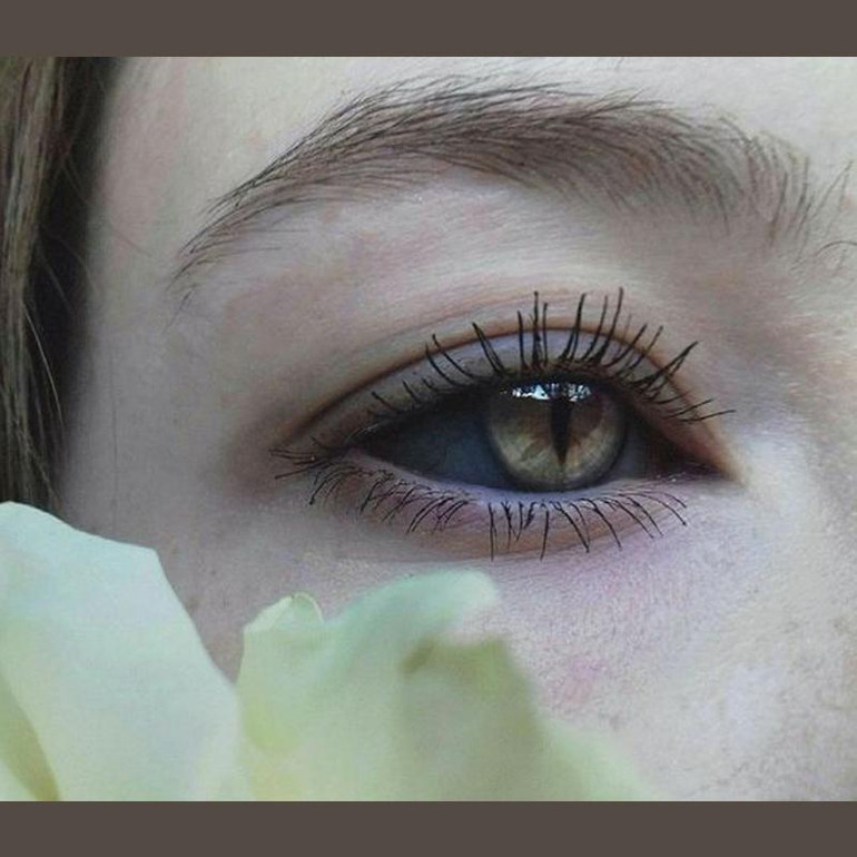 cosplay cat eye brown (12 months) contact lenses
