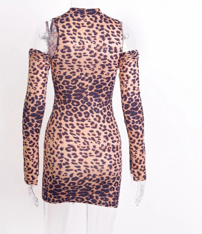 Leopard Sexy Body Mini Dress