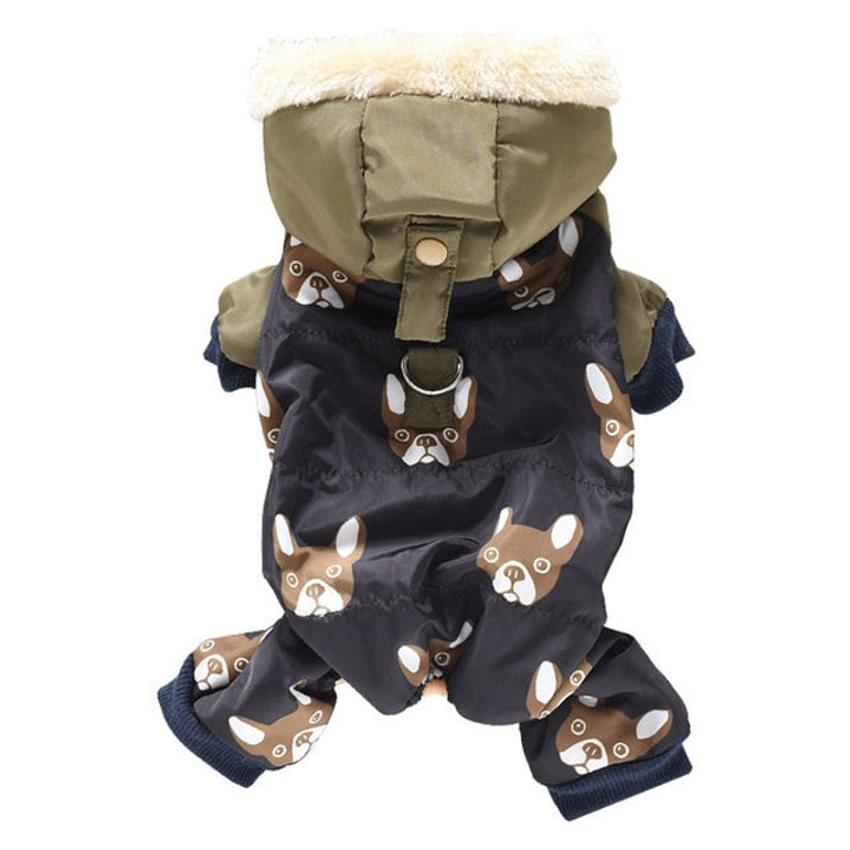 Four-legged clothes for dogs