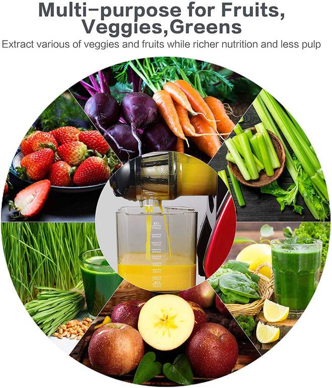 Aobosi Slow Masticating juicer Extractor, Cold Press Juicer Machine