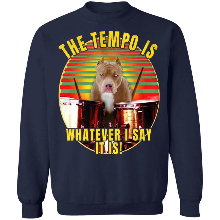 Pi Bbull The Tempo Is Whatever I Say It Is Pitbull Humor Sweaters