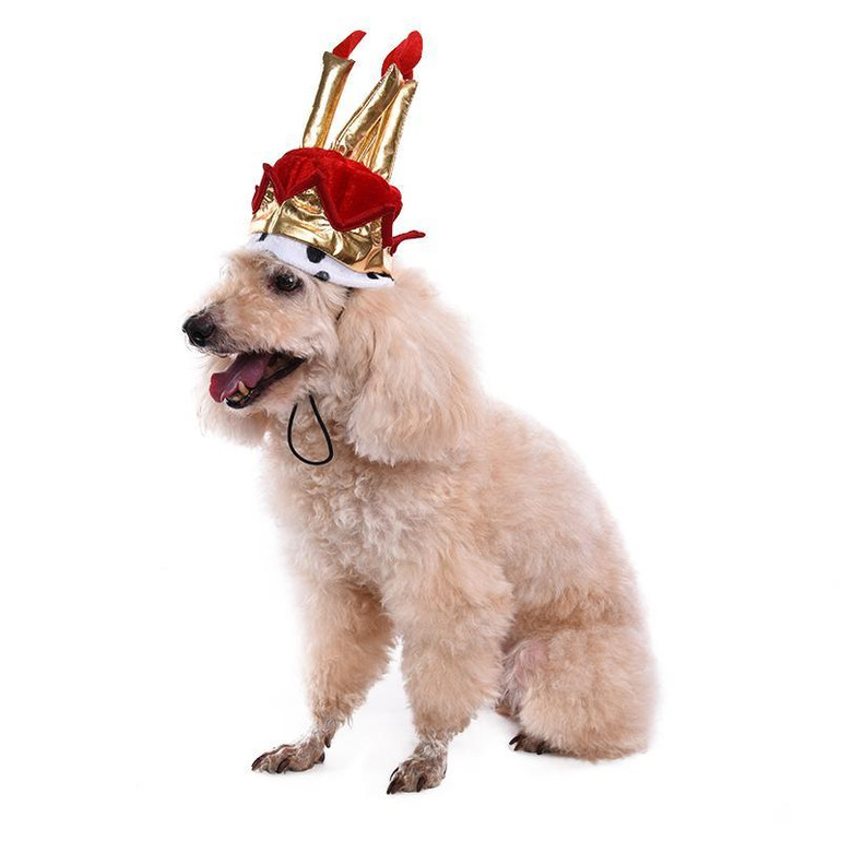 Cute Dog Birthday Hat