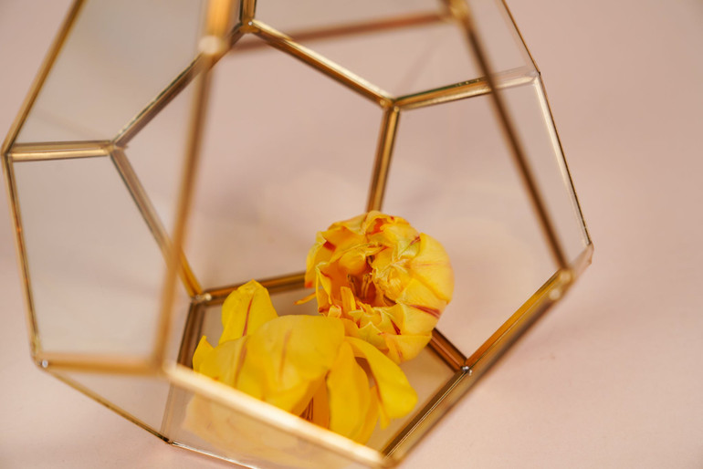 Triangle Geometric Terrarium