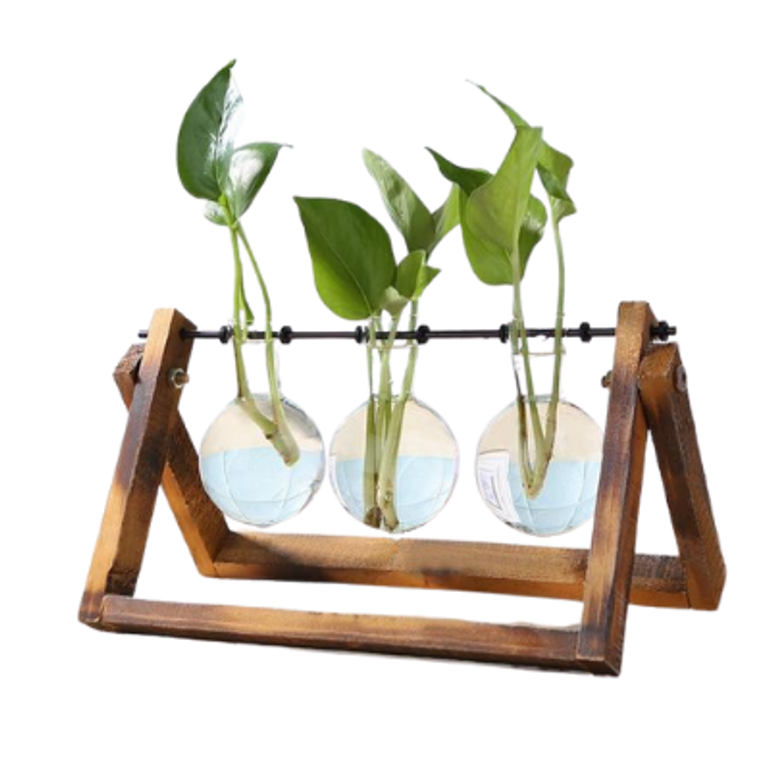 Glass terrarium table planter