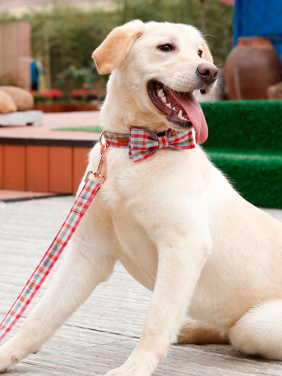 The Austin Pet Leash