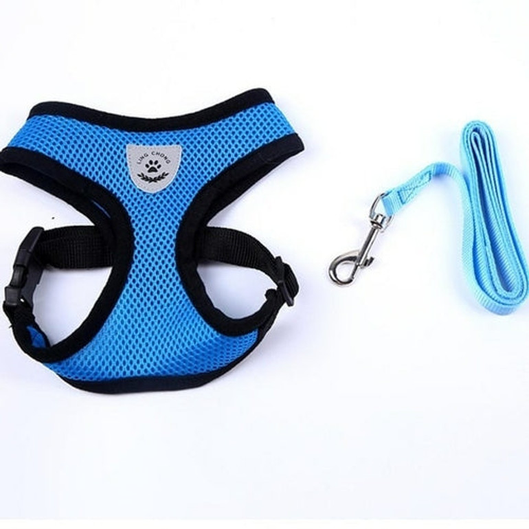PawPals Adjustable Pet Harness and Leash Set