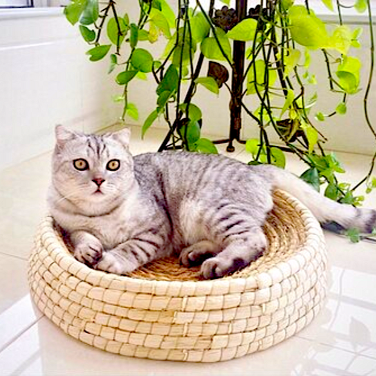 Straw Cat Bed Natural Cat Basket Handmade Cat Beds