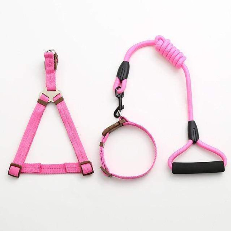 Dog Collar Set For Small Puppy Pet
