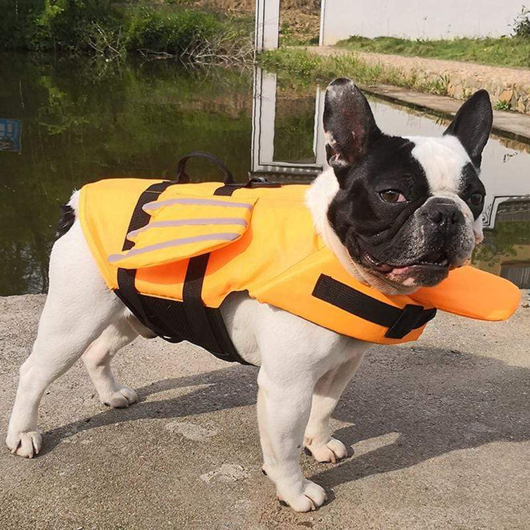 Dog Vest Summer Pet Life Jacket