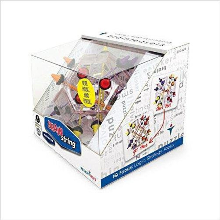 Brainstring Advanced Brainteaser Puzzle