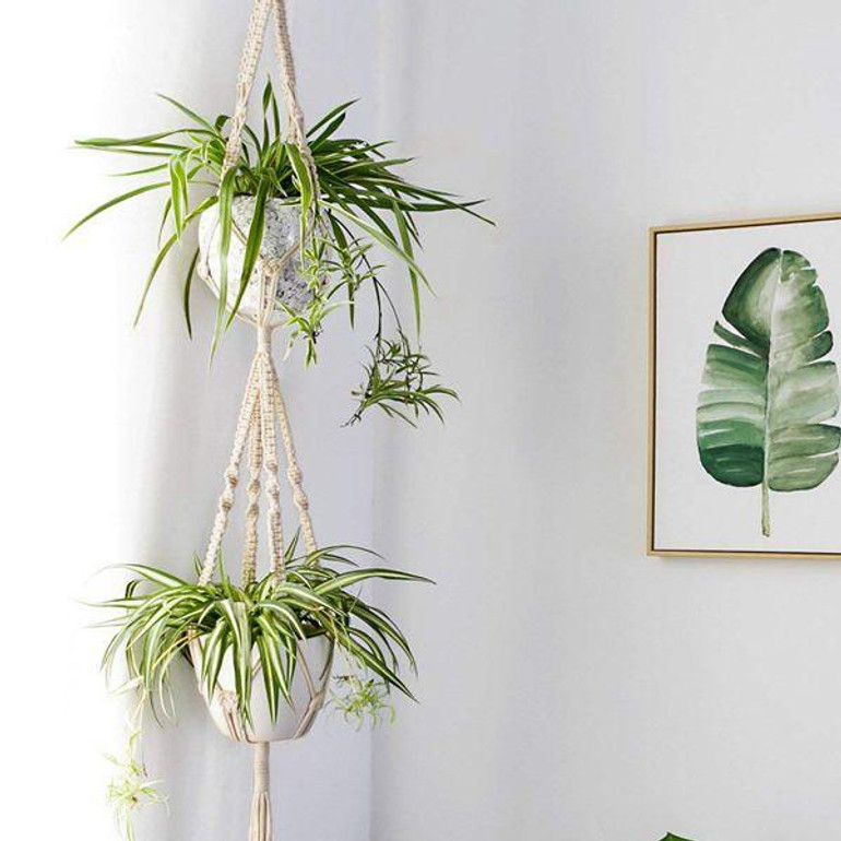 Set of Macrame Hangers