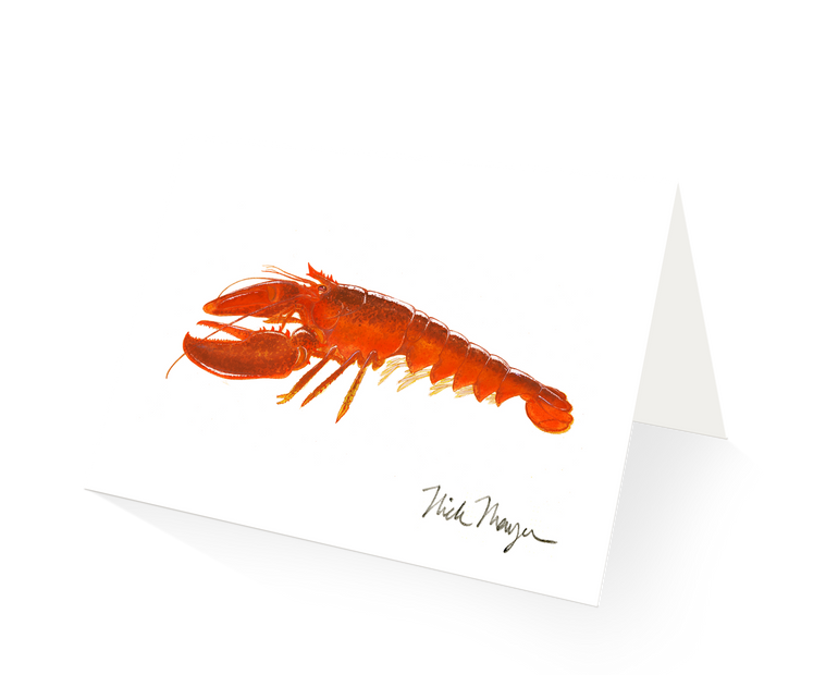Cooked Lobster