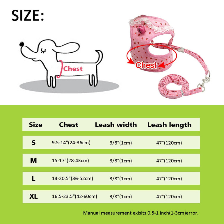 Harness Leash Set for Small Dogs