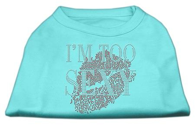 I'm Too Sexy Rhinestone Shirts Aqua