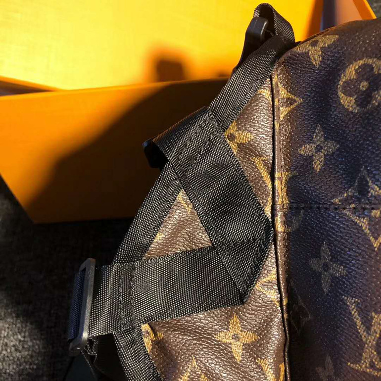 lv dog backpack fashion -513#