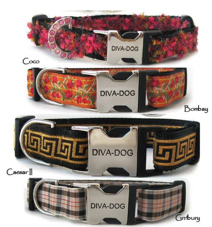 Collars, Leashes & Harnesses