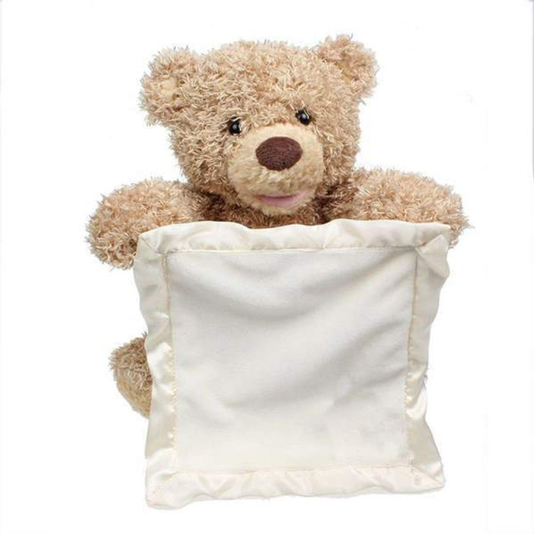 Peek-A-Boo Teddy