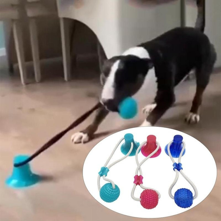 Pet Molar Bite Toy Ball Pet Molar Bite Toy Ball